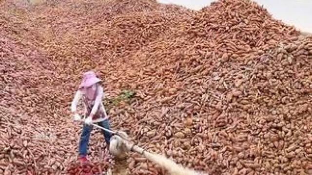 红薯片是如何制作的？ #红薯片 #薯片 #制作过程