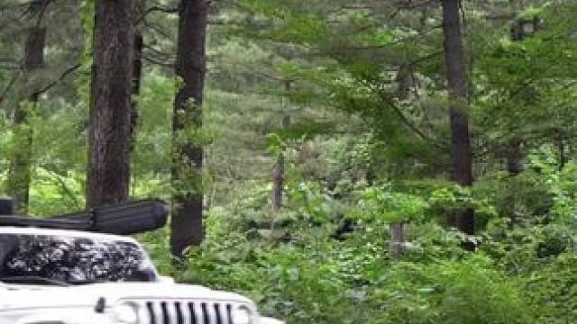 一个女生的雨天露营 #户外露营 #露营报告 #雨中露营报告