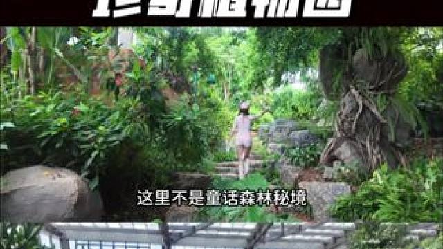 南昌无广推荐！情侣周末珍奇植物园一日游vlog #南昌 #vlog #vlog日常 #vlog十亿流