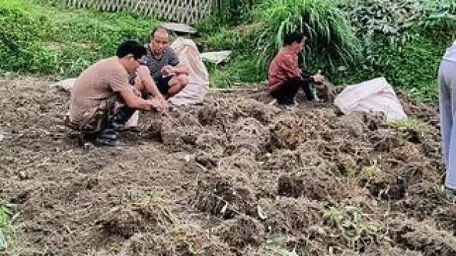 你说城里好，我觉得农村好，各有各的活法，你吃你的山珍海味，我做我的粗茶淡饭，不求大富大贵，只图一家人