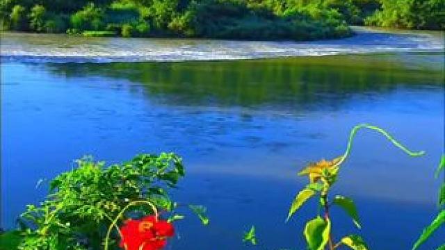 旅行教会我们，最美的风景往往就在脚下。丽水古堰画乡。