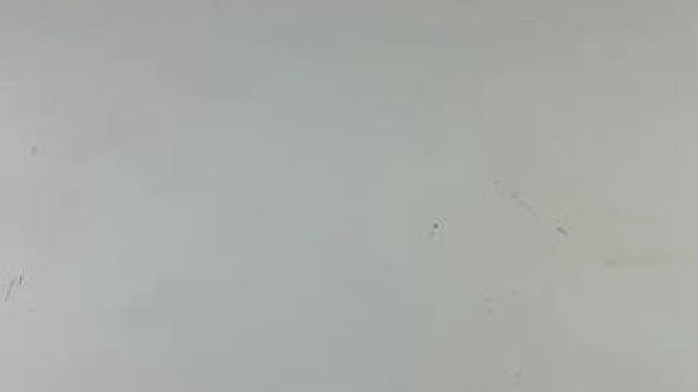 给它起个名字吧~ #玩个很新的东西 #拉布布 #五条悟