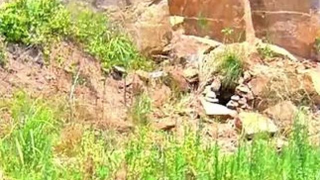 #西瓜视频 点击上方（红色按钮） 可看完整版 大结局太精彩了...《西瓜视频》，观看精彩后续《西瓜视