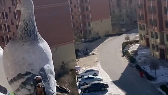 今晚的斯诺克看的人伤心欲绝！哎