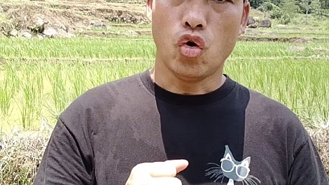 婚姻里妈妈才是最委屈的人