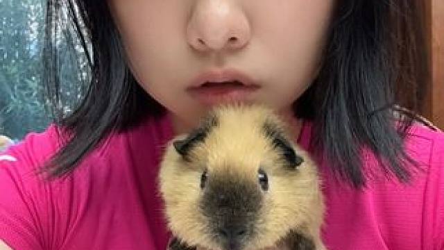 我发布了一个新视频，快来围观吧！