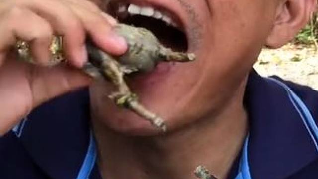 一口一只蛋蛋蛙 #美食 #户外美食 #泰国美食 #内容启发搜索