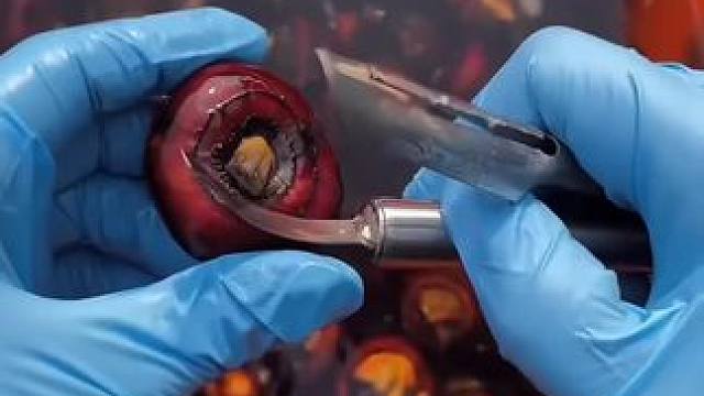 我发布了一个新视频，快来围观吧！