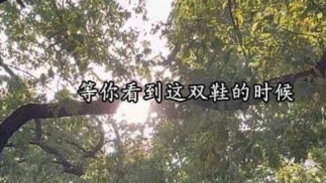 粉丝投稿之杨思思 #配音#杨思思#我在风花雪月里等你 #小说#粉丝投稿