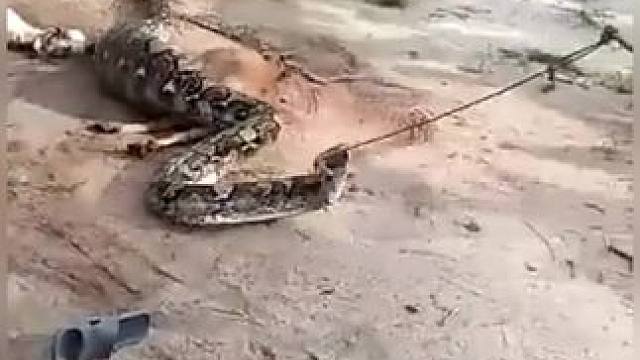 野生动物零距离~