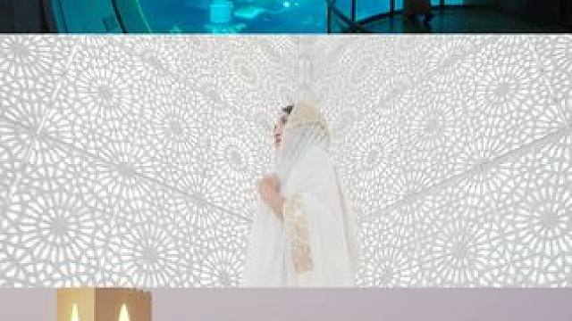 打卡刘亦菲同款机位阿布扎比5天攻略⭐️。#机位天才已就位 #定格夏天结束的瞬间 #国庆去哪玩 #中视