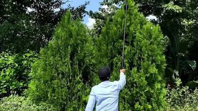 穿越丛林既视感短片试试这样拍 #手机摄影 #拍摄技巧 #治愈系风景 #治愈系#视觉冲击