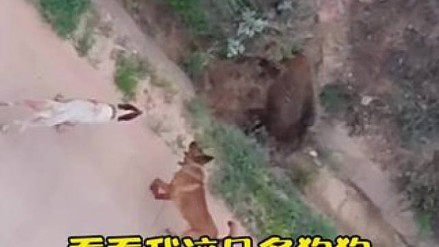 快帮自接圈佩奇，下货 看看这几条快帮怎么样，圈起来 直接下货#热点 #三农 #三农流量扶持计划 #公