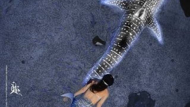 佛系发帖，流量是个der