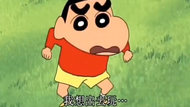 我想带着宠物口溶膜出去玩 #宠物口崩膜 #宠物口含片