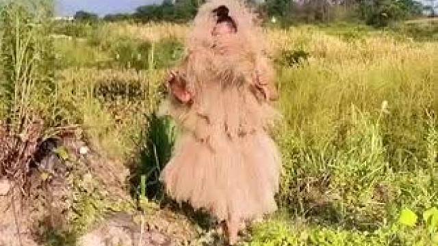 山卡卡里的农村大姐学费了开直播每天收获满满您还在恐播怕播不敢开播开播不知说什么吗#记录真实生活 #农