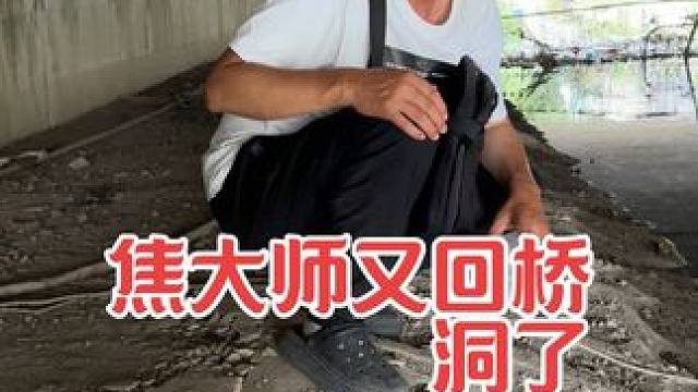 焦大师找到一个冬暖夏凉的桥洞，准备在这里创业 #沈巍 #热门
