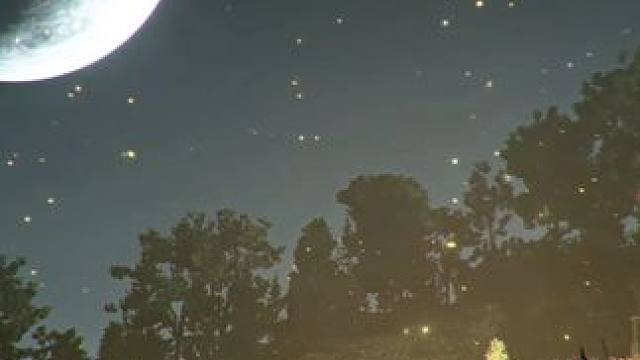 前有绝景 敬请见证#艾尔登法环 #单机游戏