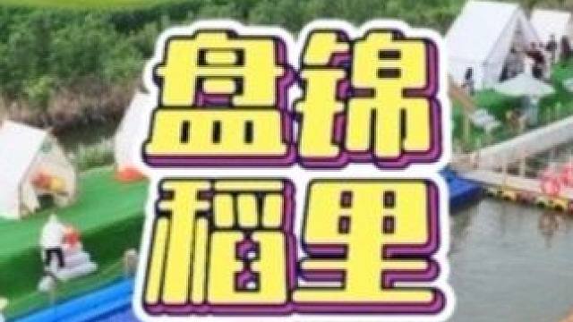 抓住夏天的尾巴～ 夏天的稻田太美了～#稻里#辽宁新秘境#稻田治愈系#盘锦旅游攻略#亲子游玩好去处