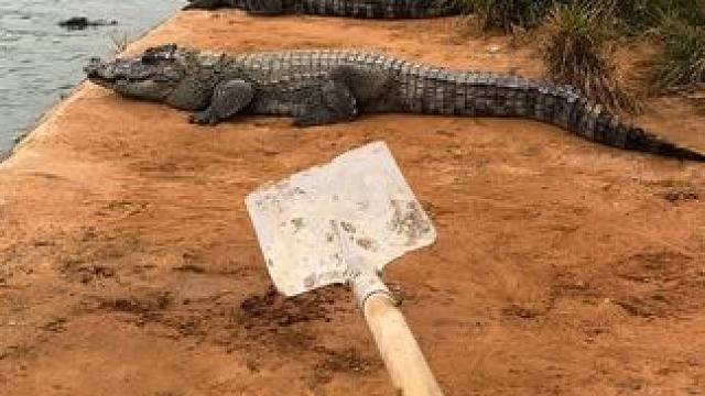 能不能和我一起运动起来#非专业人士请勿模仿