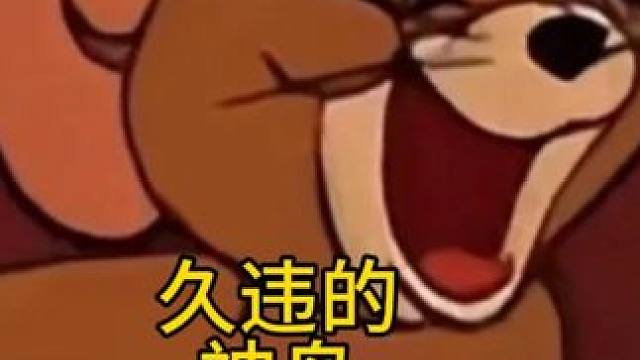 一五九的神鸟不要走丢了！