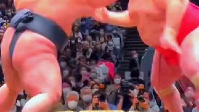 日本横岗大战 #格斗