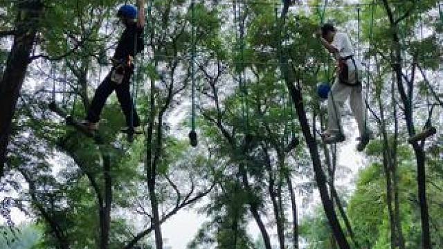 #极限运动 #户外运动 #野外户外 #丛林探险