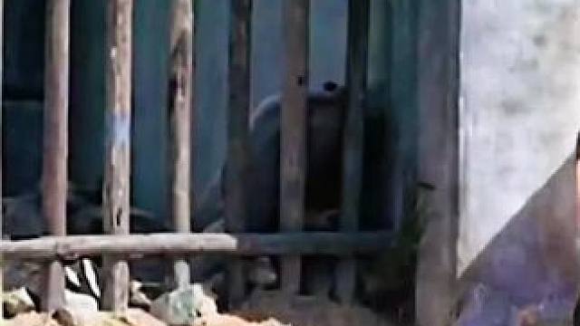 #西瓜视频 点击上方（红色按钮） 可看完整版 大结局太精彩了...《西瓜视频》，观看精彩后续《西瓜视