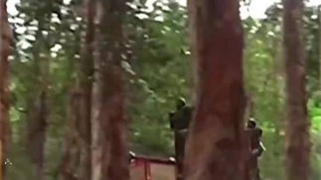 #西瓜视频 点击上方（红色按钮） 可看完整版 大结局太精彩了...《西瓜视频》，观看精彩后续《西瓜视