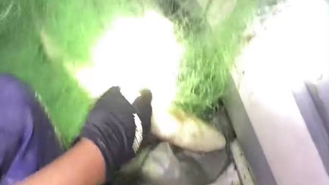 #户外捕鱼大队 #捕鱼河边随拍 #捕捞现场  #丝网捕鱼