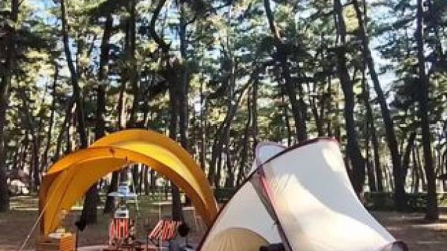 夏日露营 #户外露营 #露营报告