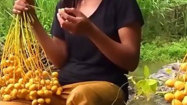 抓一只大鳄鱼，摘鸭蛋煮吃 #动物世界 #户外 #大自然的生存 #山野自然