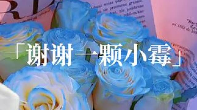 强行奋斗了hhhhh俺哥温柔鼠啦！
#cv锦鲤#听潮阁锦鲤