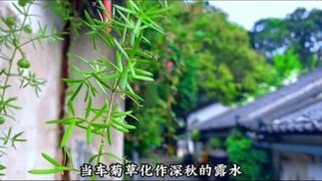 摄影常用拍摄小技巧。#手机摄影 #拍摄技巧 #运镜 #教程 #治愈系