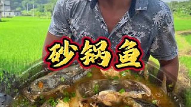 砂锅鱼！肉质鲜美 入口爽滑 真的是美味 #乡村味道 #舌尖上的味道 #农村生活 #砂锅鱼 #美食