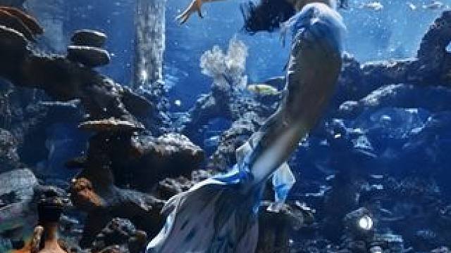 长鹿潜水 #长鹿潜水