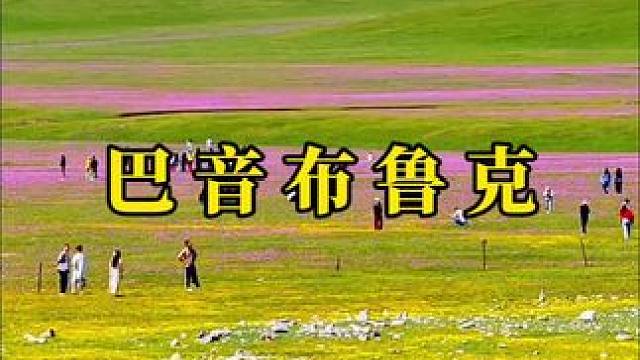长大两个字没有偏旁，自由两字却加了围墙。#独库公路 #巴音布鲁克草原 #最美的风景在路上 #最美公路