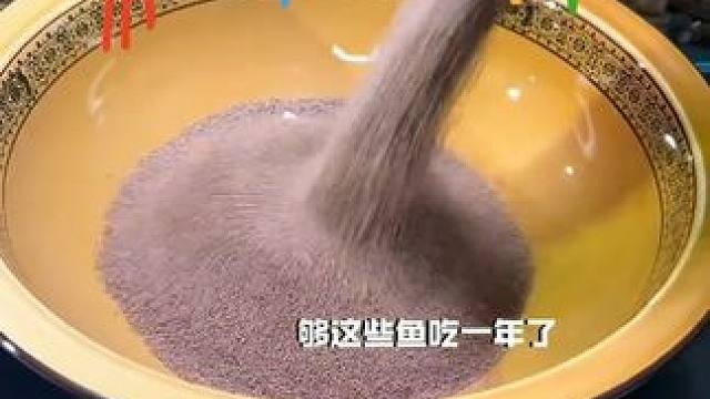 孔雀天使鱼食小型热带鱼鱼粮，通用小颗粒上浮型高蛋白斗鱼金鱼饲料。#鱼粮  #上浮饲料 c