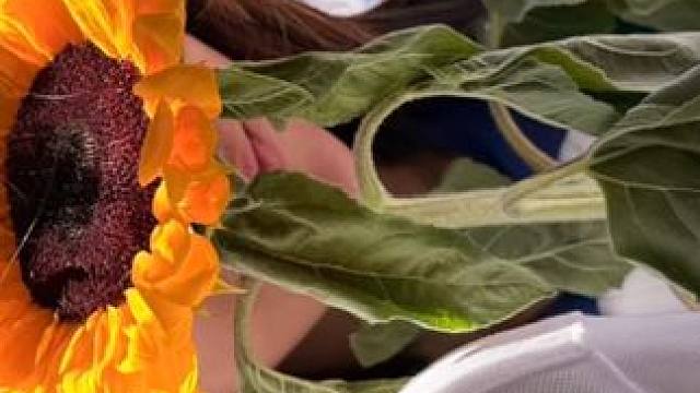 定格夏天结束瞬间 蝉鸣还在，热浪还在，但心里已经开始对夏天告别。评论区我们互相交换一下告别夏天的一张