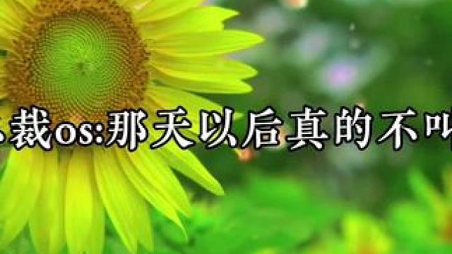 宝贝不叫人总裁急坏了 #广播剧