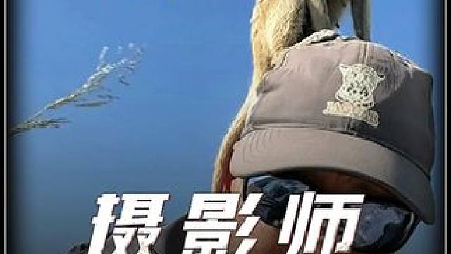 摄影师怼脸拍摄野生动物，这胆儿也太肥了！ 