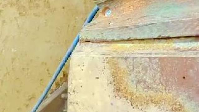 我发布了一个新视频，快来围观吧！