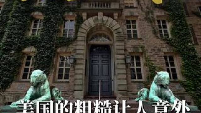 美国的粗糙让人意外 连裁员都不用给N+1的补偿金 #美国 #出海 #裁员 #裁员补偿