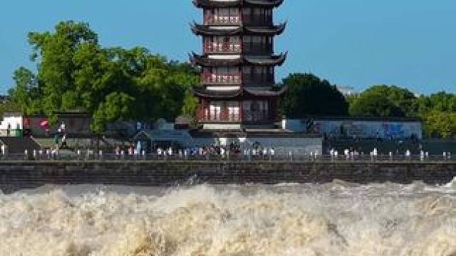 浪潮越来越近，犹如千万匹白色战马齐头并进，浩浩荡荡地飞奔而来——节选自人教版语文四年级第一课《观潮》