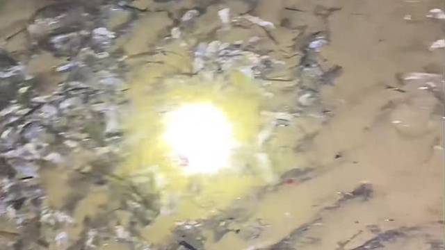 #户外捕鱼大队 #捕鱼河边随拍 #捕捞现场  #丝网捕鱼