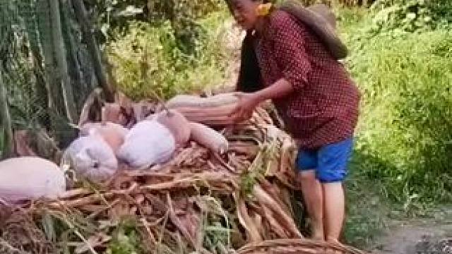 我发布了一个新视频，快来围观吧！