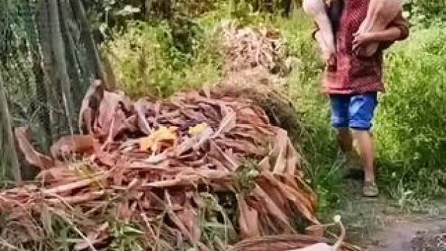 山卡卡里的农村大姐学费了开直播每天收获满满您还在恐播怕播不敢开播开播了不知说什么吗#记录真实生活 #