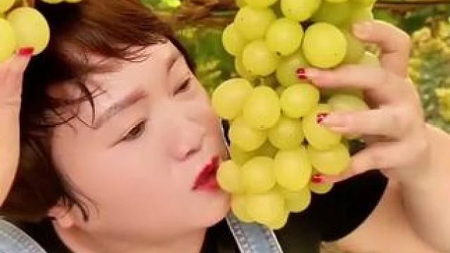 #葡萄熟了 #采摘园 #葡萄 #优质农产品