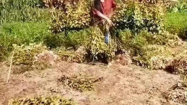 山卡卡里的农村大姐学费了开直播每天收获满满您还在恐播怕播不敢开播开播了不知说什么吗#记录真实生活 #