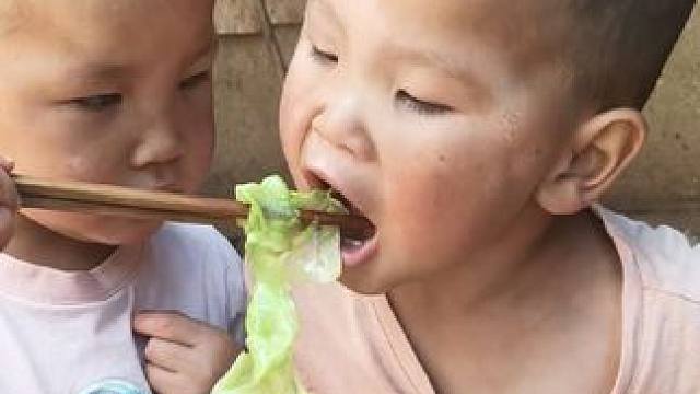 双双喜欢吃莲花白。#农村娃